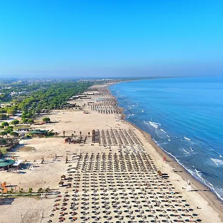 Sunny - 162 * Dıraç