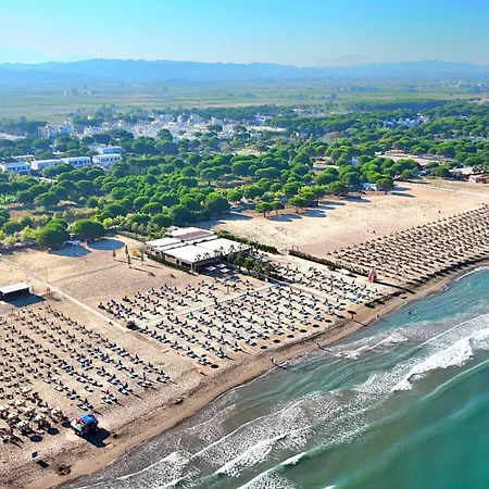 Sunny - 162 Lejlighed