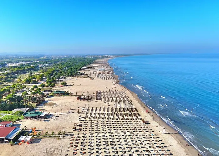 Sunny - 162 * 德拉克