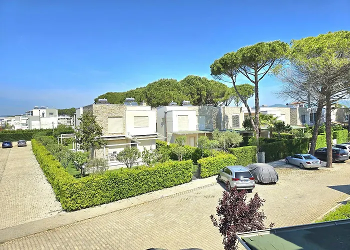 Sunny - 162 德拉克