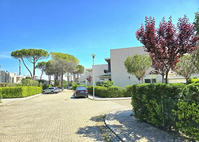 Sunny - 162 * 德拉克