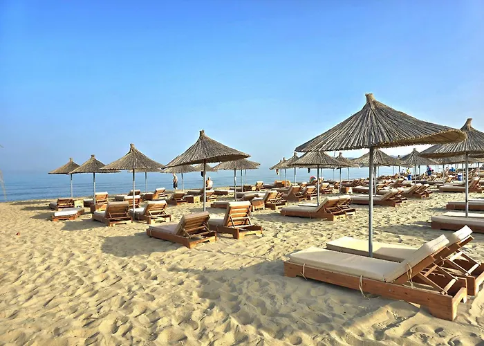 Sunny - 162 公寓 *